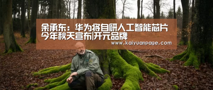 余承东:华为将自研人工智能芯片今年秋天宣布|开元品牌(图2) 开元直播